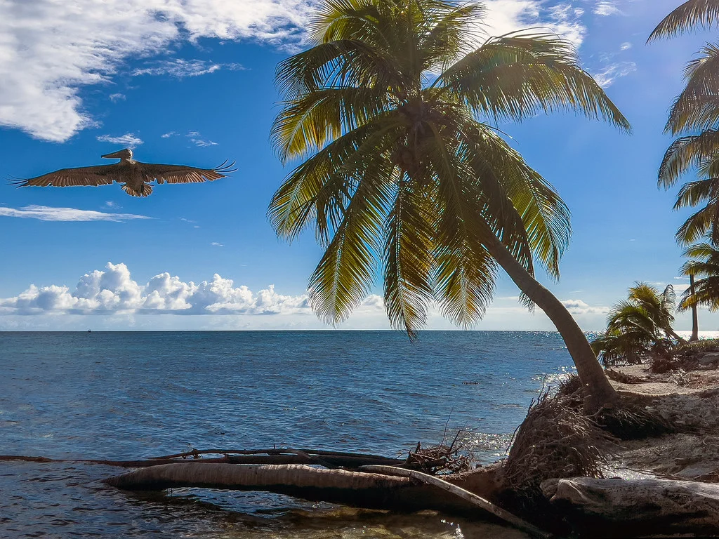 Laughing Bird Caye, Belize