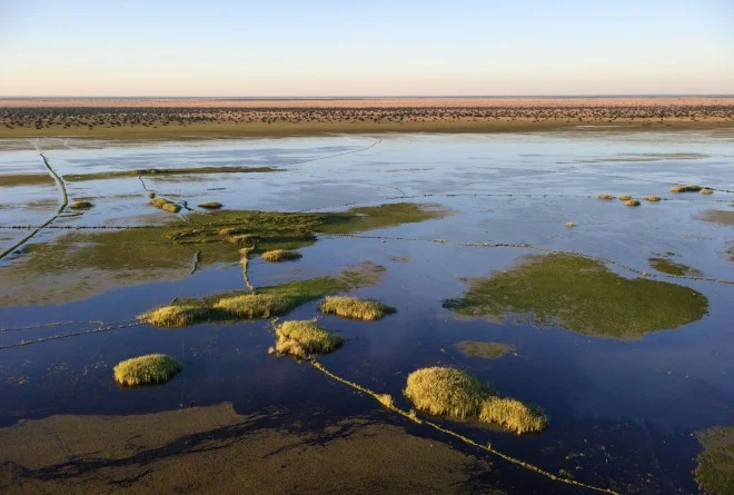 Zones humides de Bangweulu , Zambie