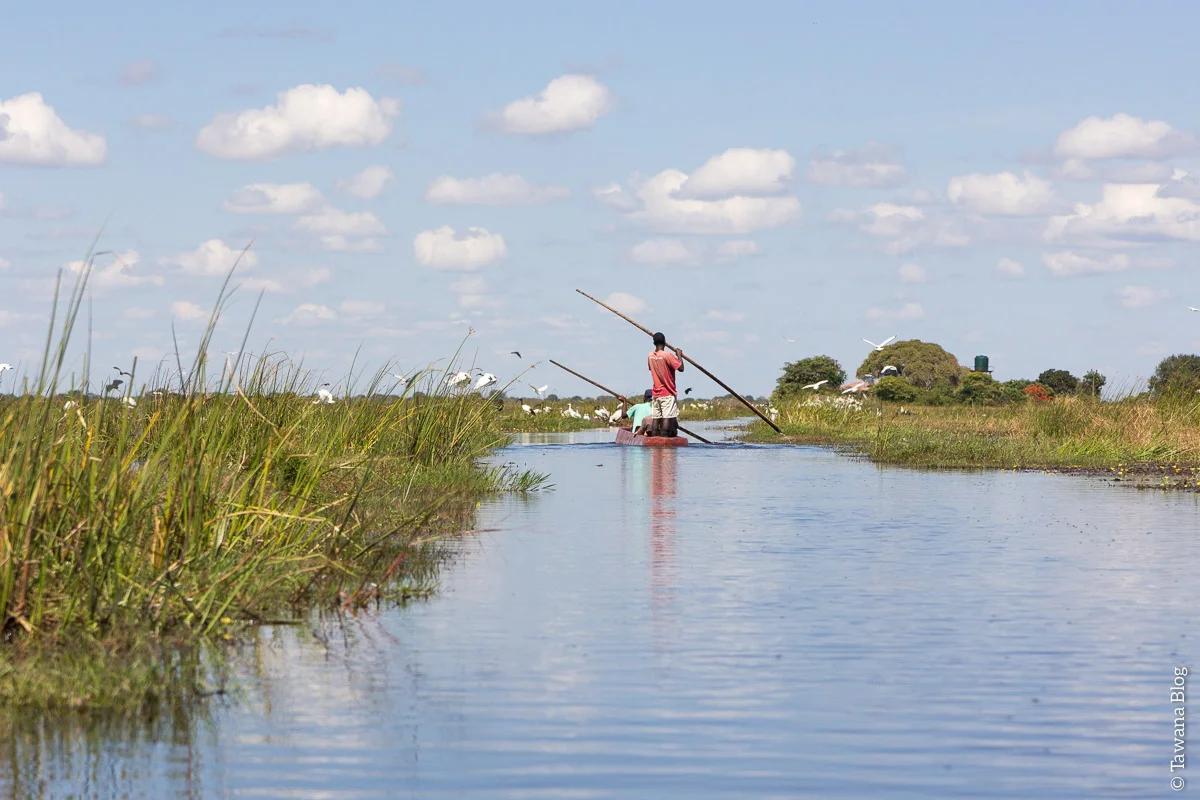 Zones humides de Bangweulu , Zambie