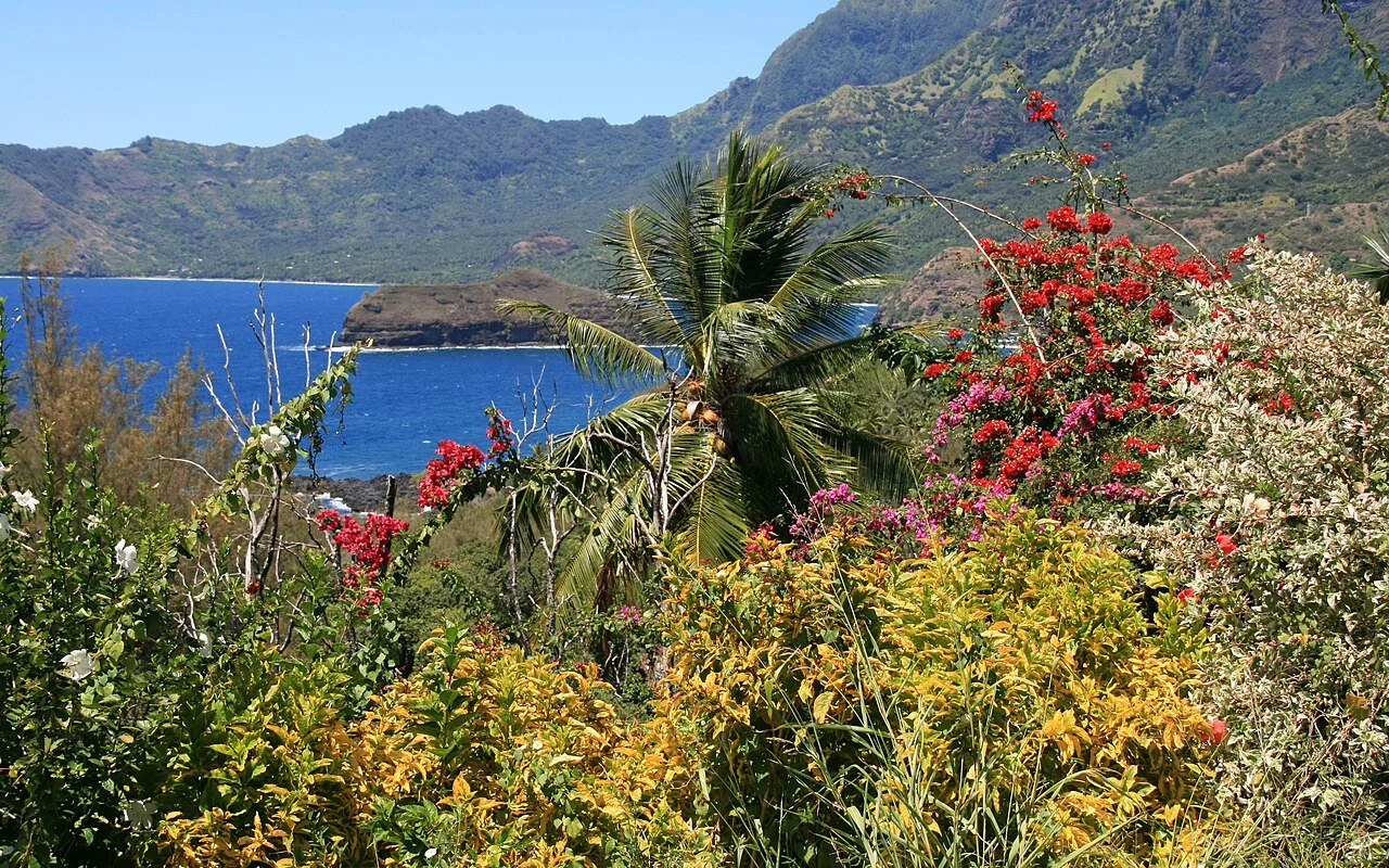 Taʻa ʻOa, Polynésie française