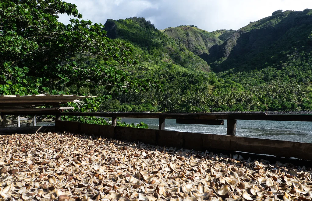Taʻa ʻOa, Polynésie française