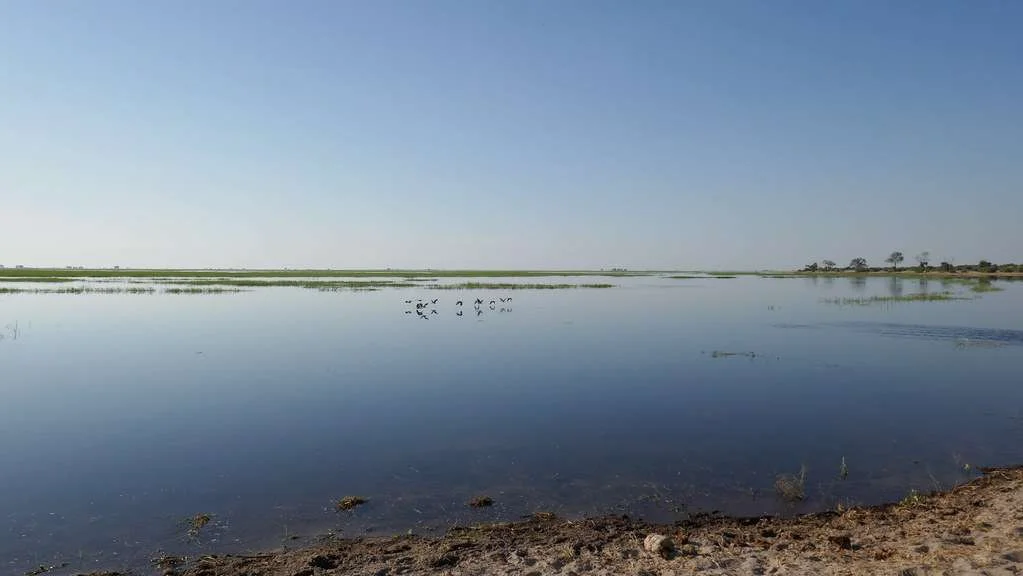 Chobe River Front, Botswana