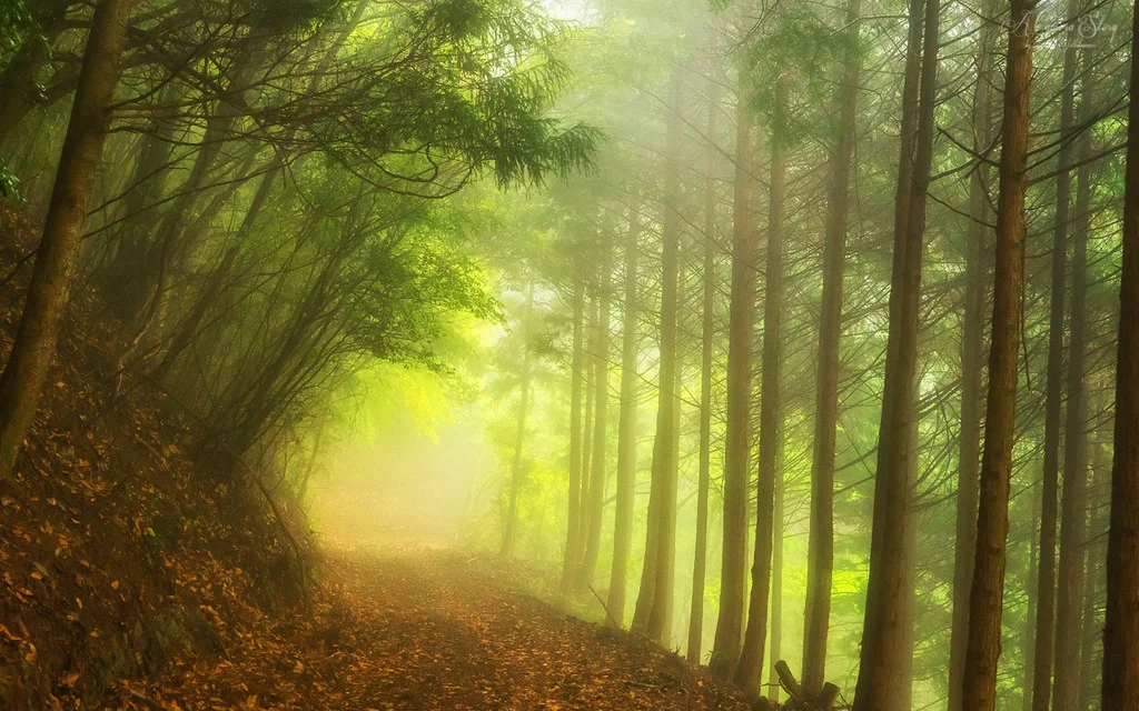 Kumano kodo, Japon, Japon, Japon