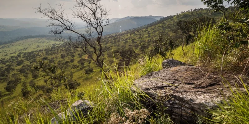 Parc national des plateaux Batéké, Gabon