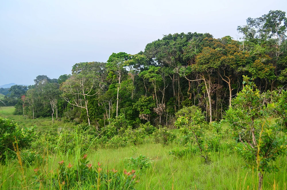 Parc national des plateaux Batéké, Gabon