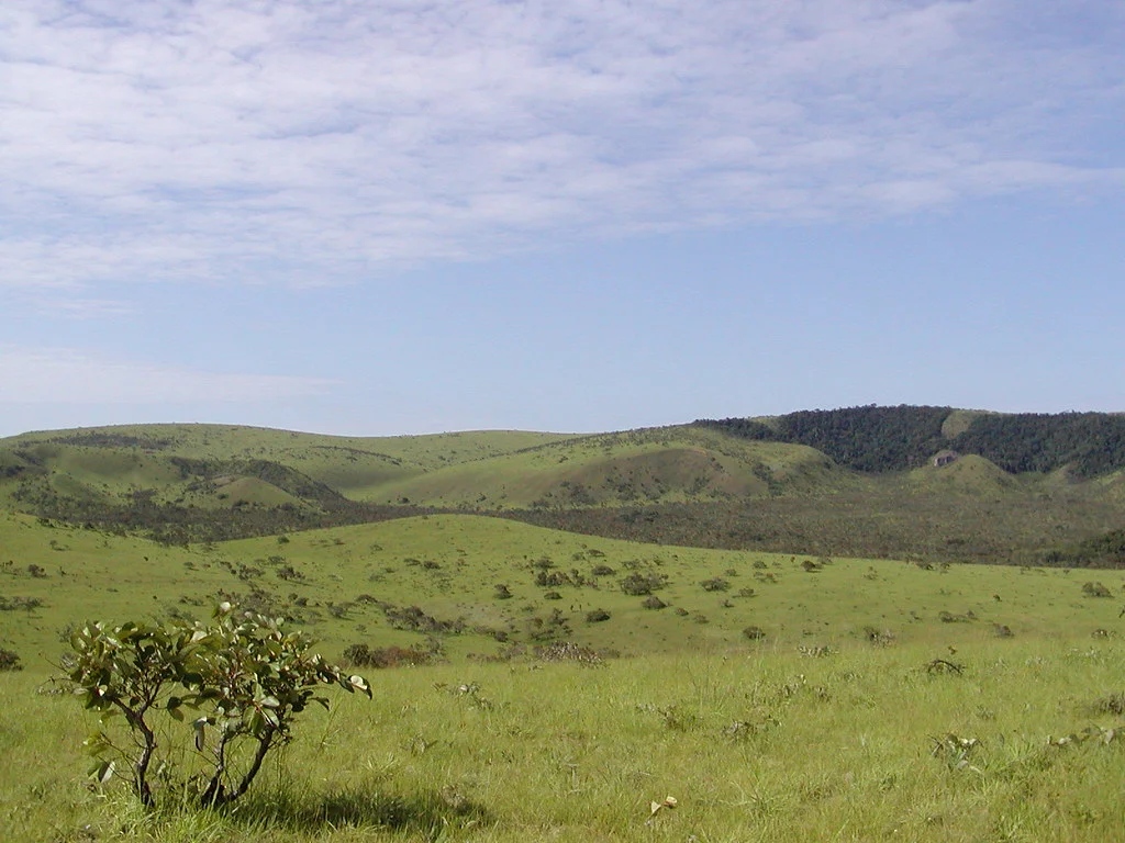 Parc national des plateaux Batéké, Gabon