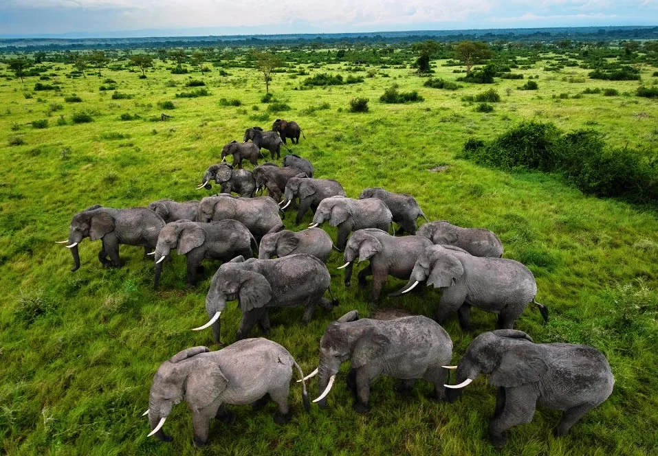 Parc national Queen Elizabeth, Ouganda