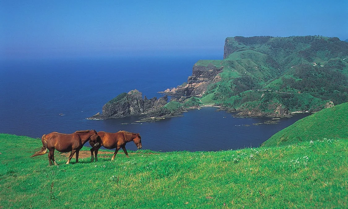 Îles Oki, Japon