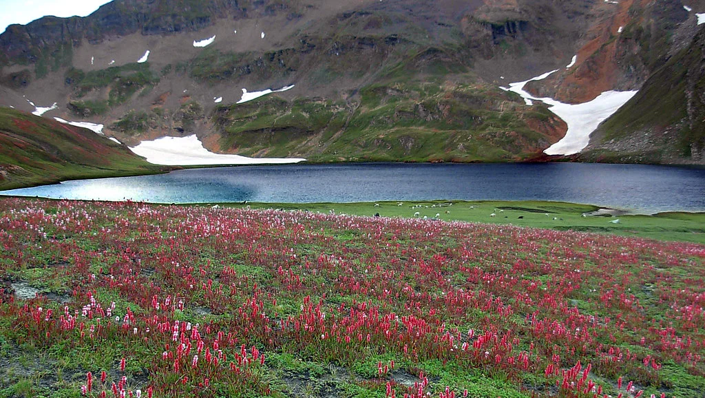Lac Dudipatsar, Pakistan