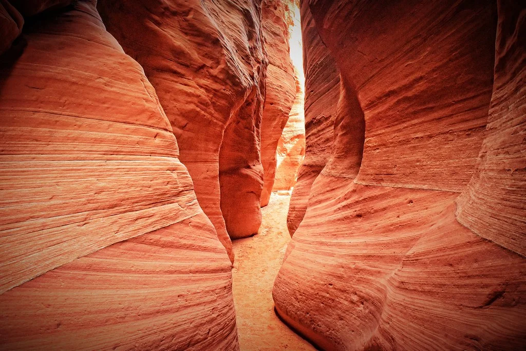 Wire Pass Trailhead, États-Unis, États-Unis