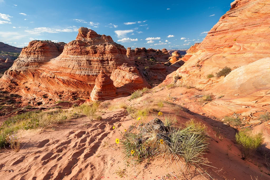 Wire Pass Trailhead, États-Unis, États-Unis
