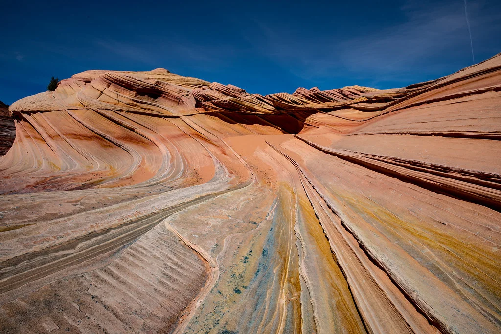 Wire Pass Trailhead, États-Unis, États-Unis