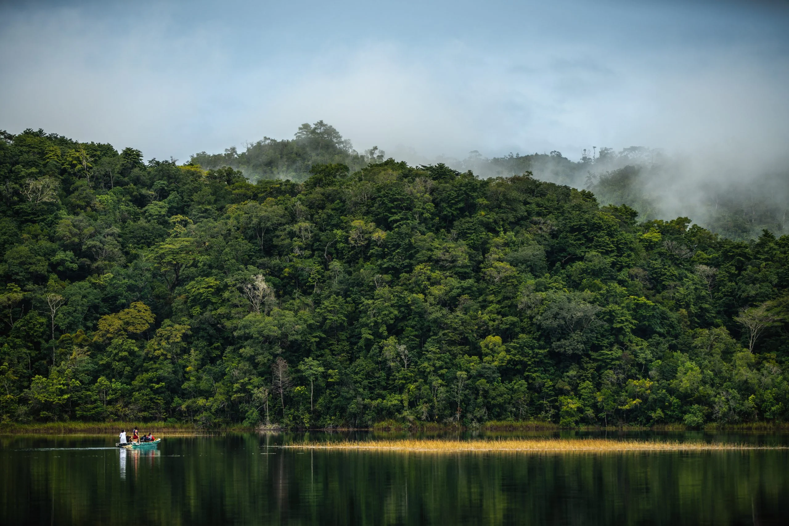 Jungle Lacandone, Mexique