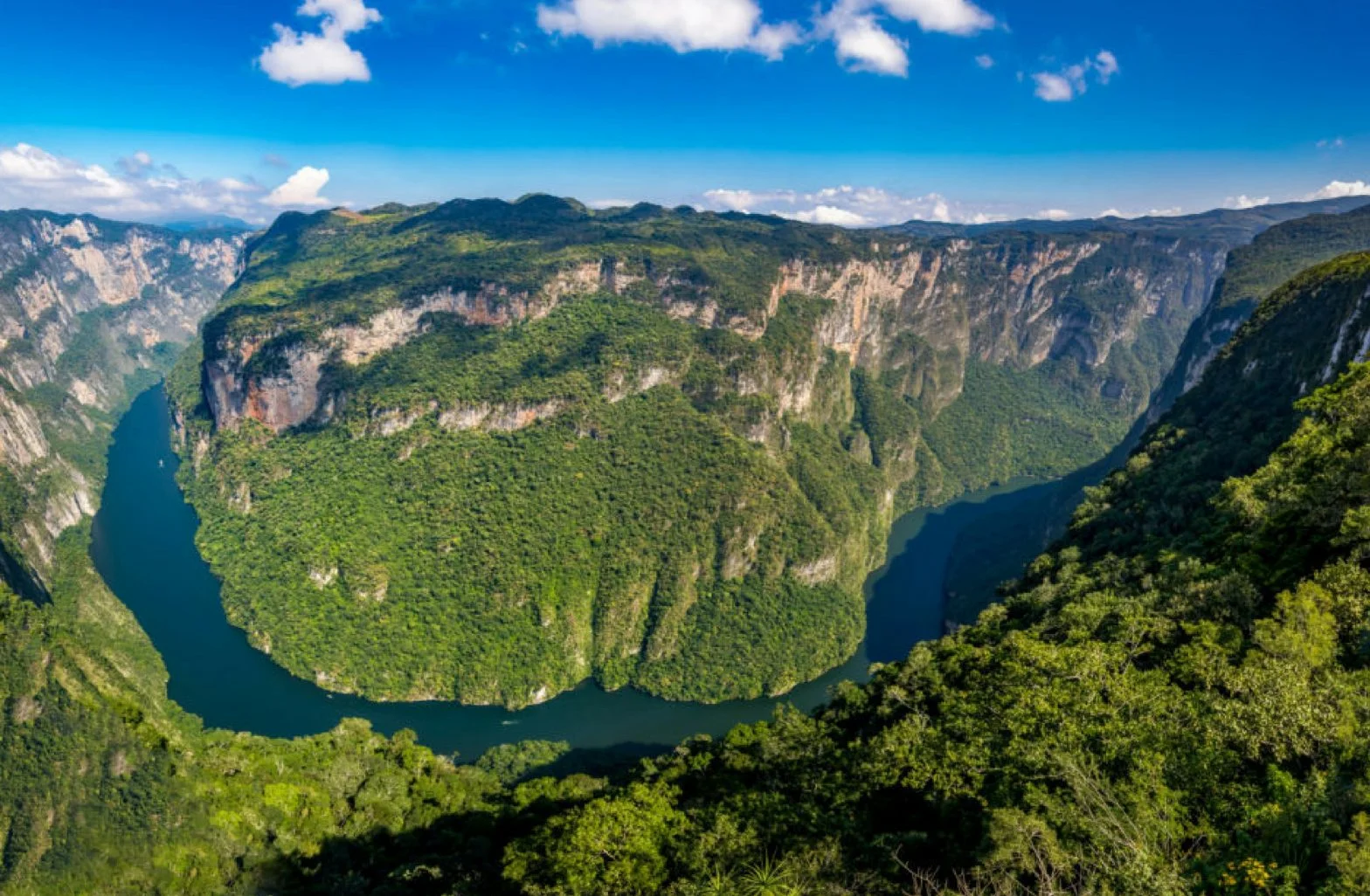Jungle Lacandone, Mexique