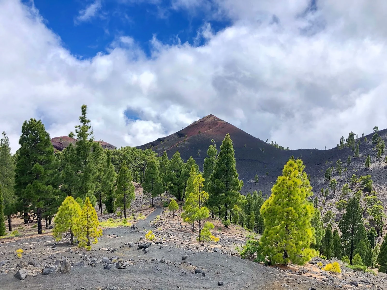 Volcan Martin (La Palma), Espagne, Canaries