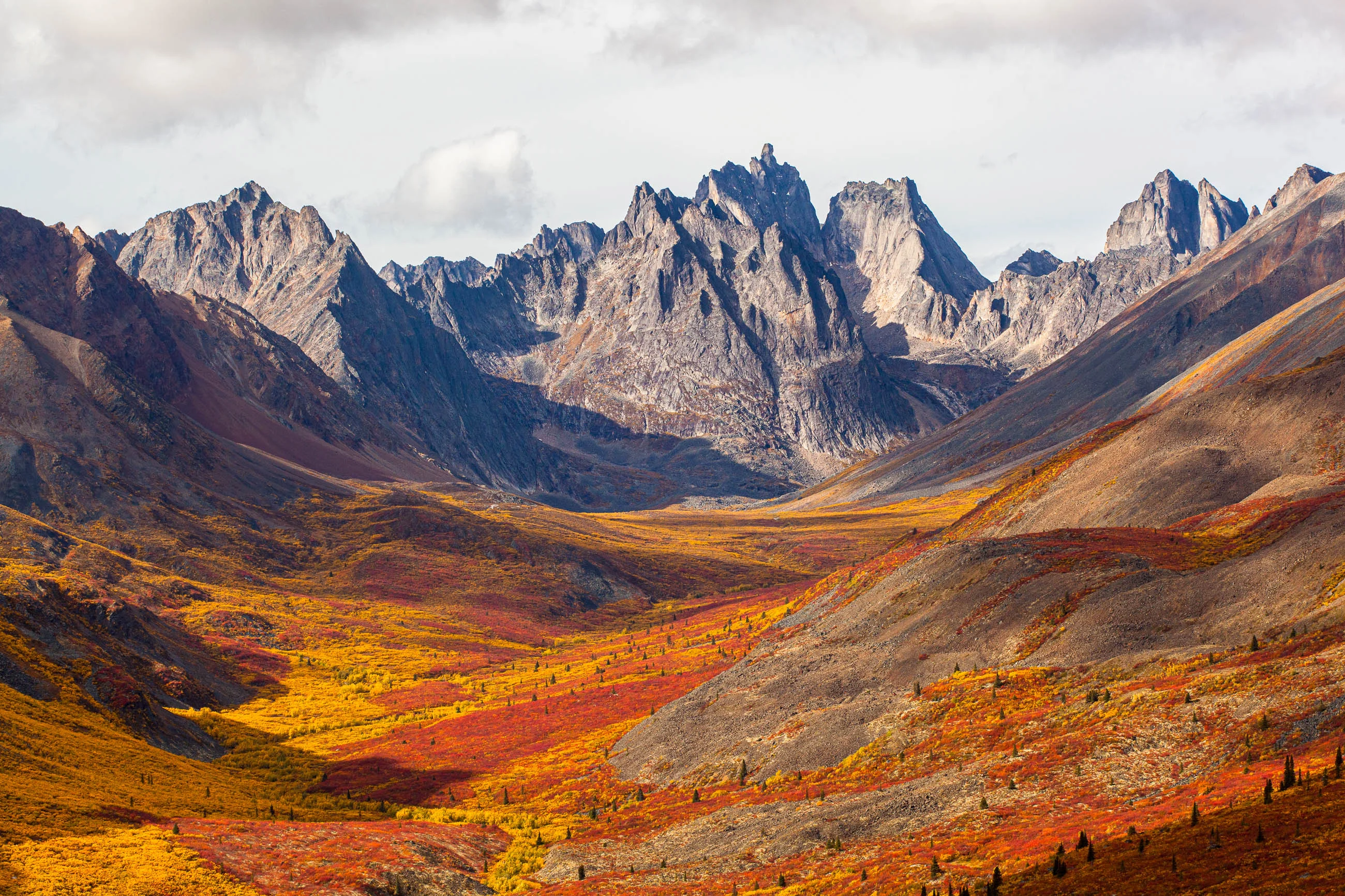 Parc territorial Tombstone, Canada