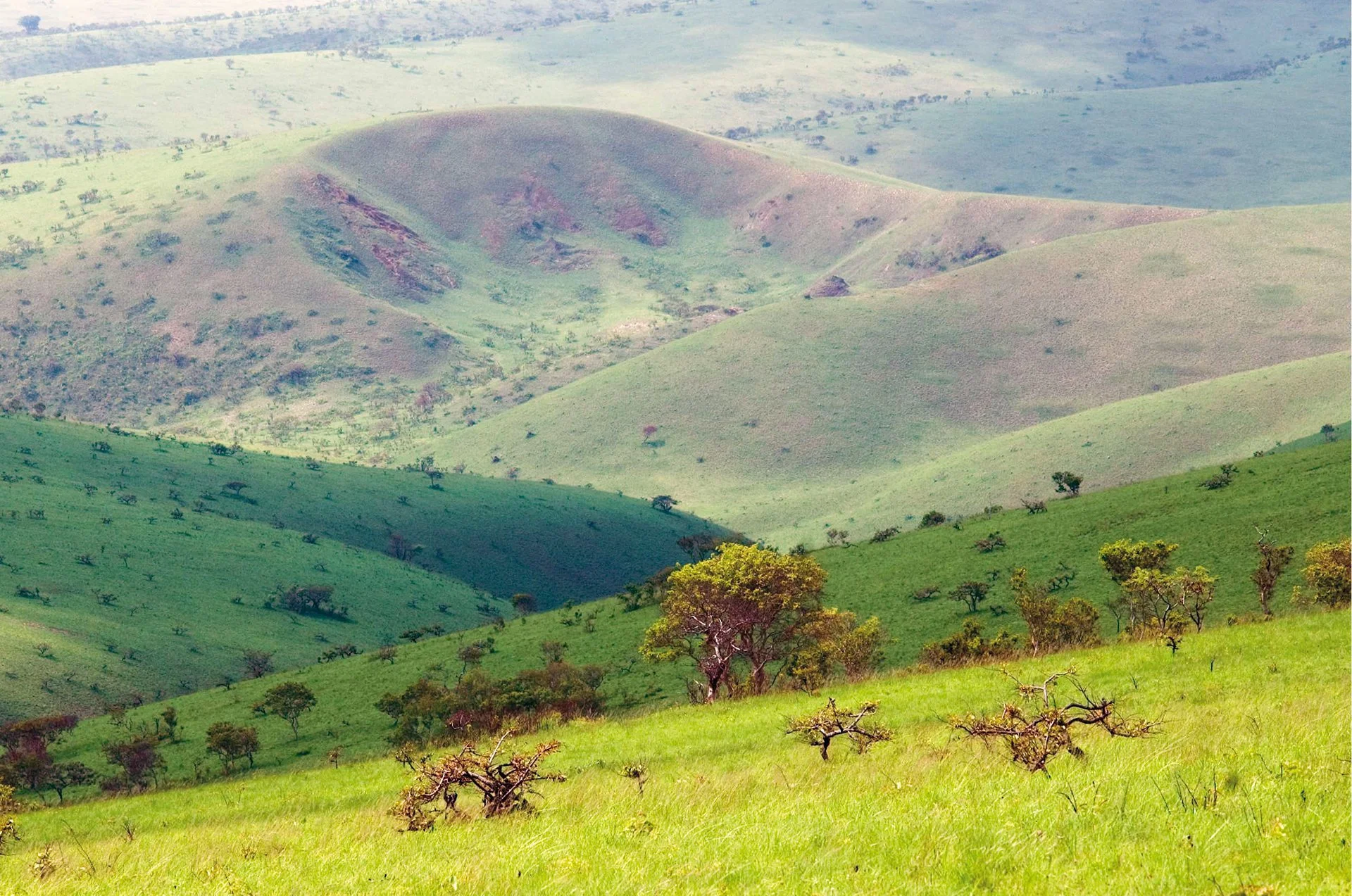 Plateaux Batéké, Gabon, République du Congo