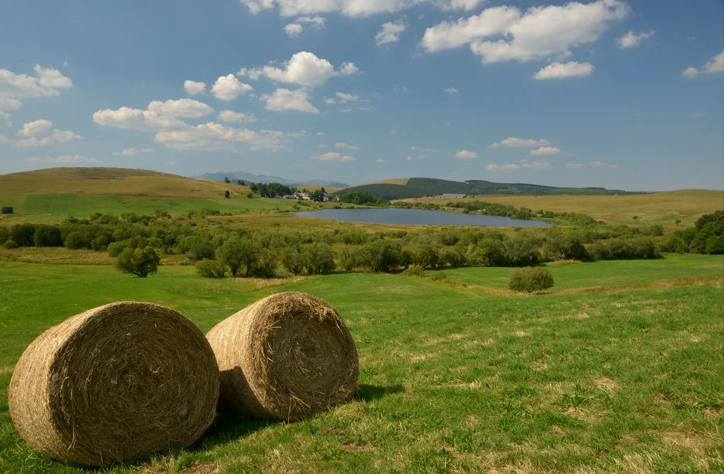 Plateau du Cézallier, France