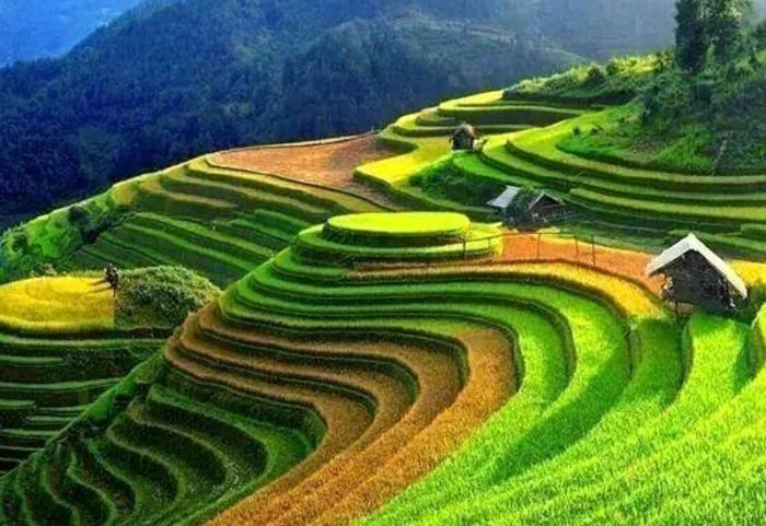 Sa Pa, Vietnam