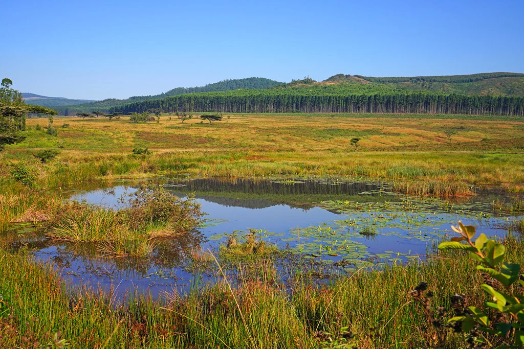Réserve de Mlilwane, Swaziland