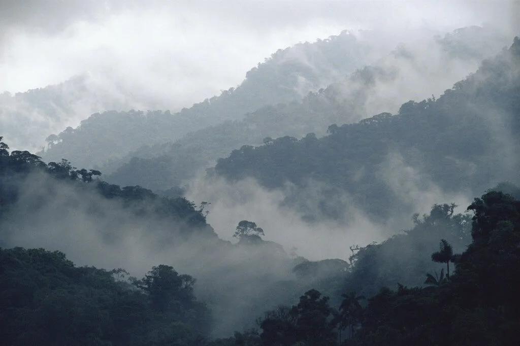 Réserve biologique de Monteverde, Costa Rica, Costa Rica
