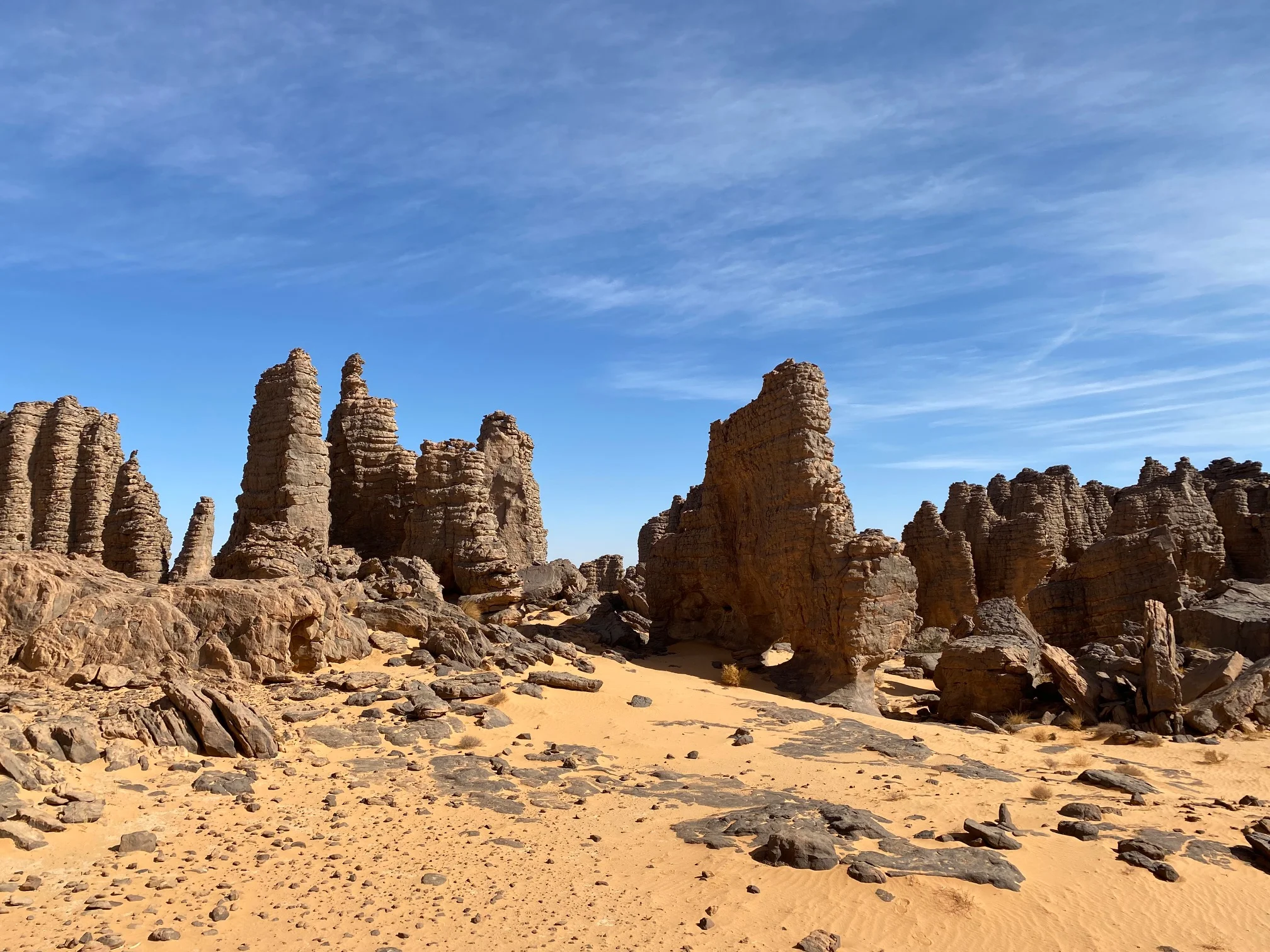 Sefar Blanc, Algérie