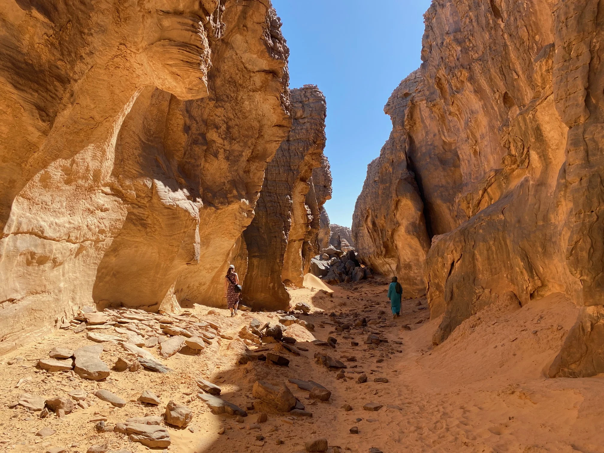 Sefar Blanc, Algérie