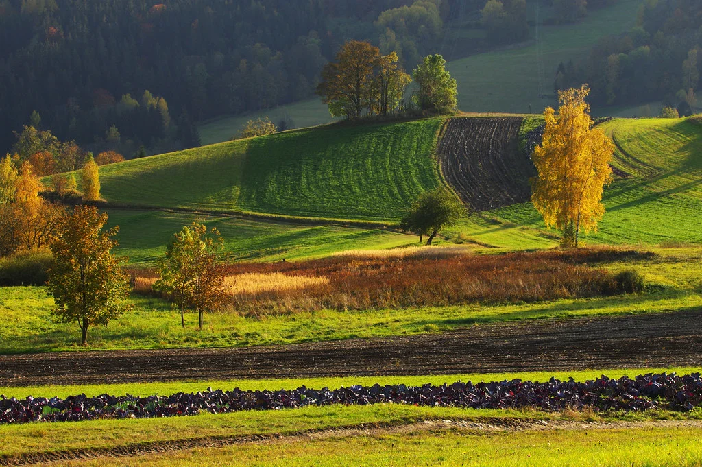 Parc national de Krkonose, République tchèque