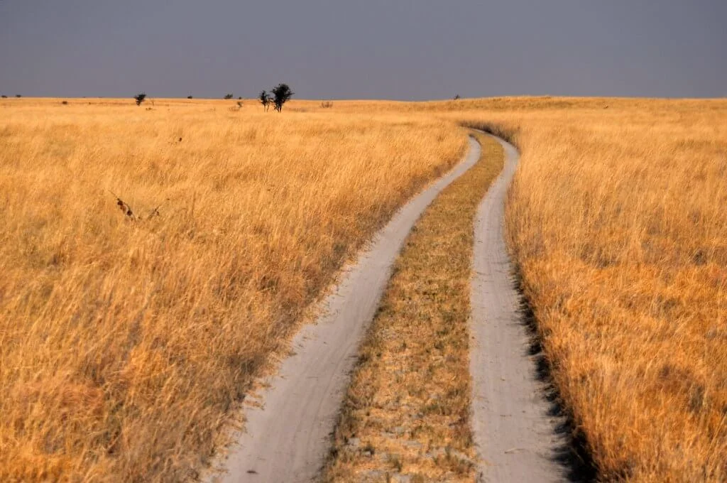 Parc national de Makgadikgadi Pans, Botswana