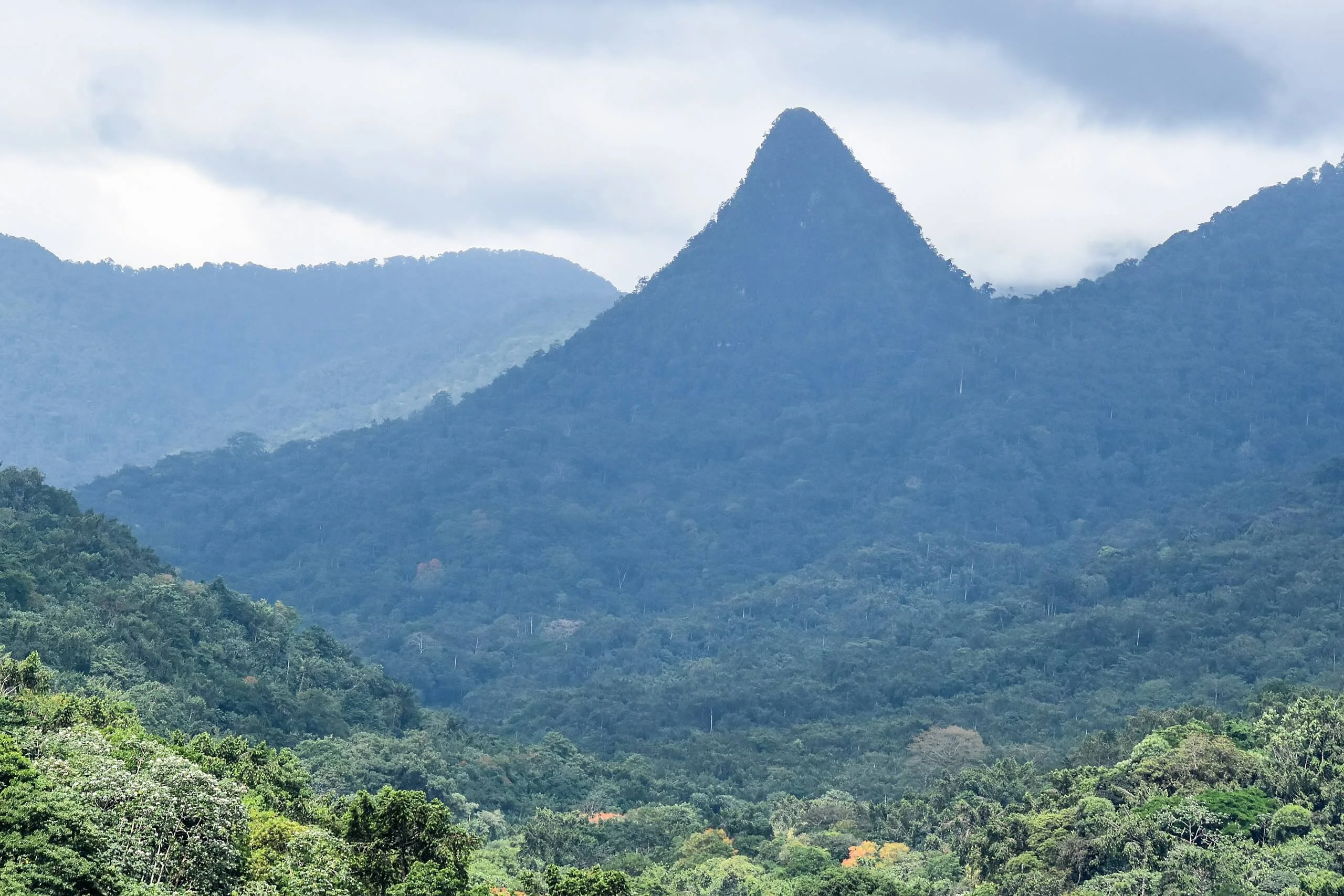 Parc naturel Obo de Sao Tomé, Sao Tomé-et-Principe