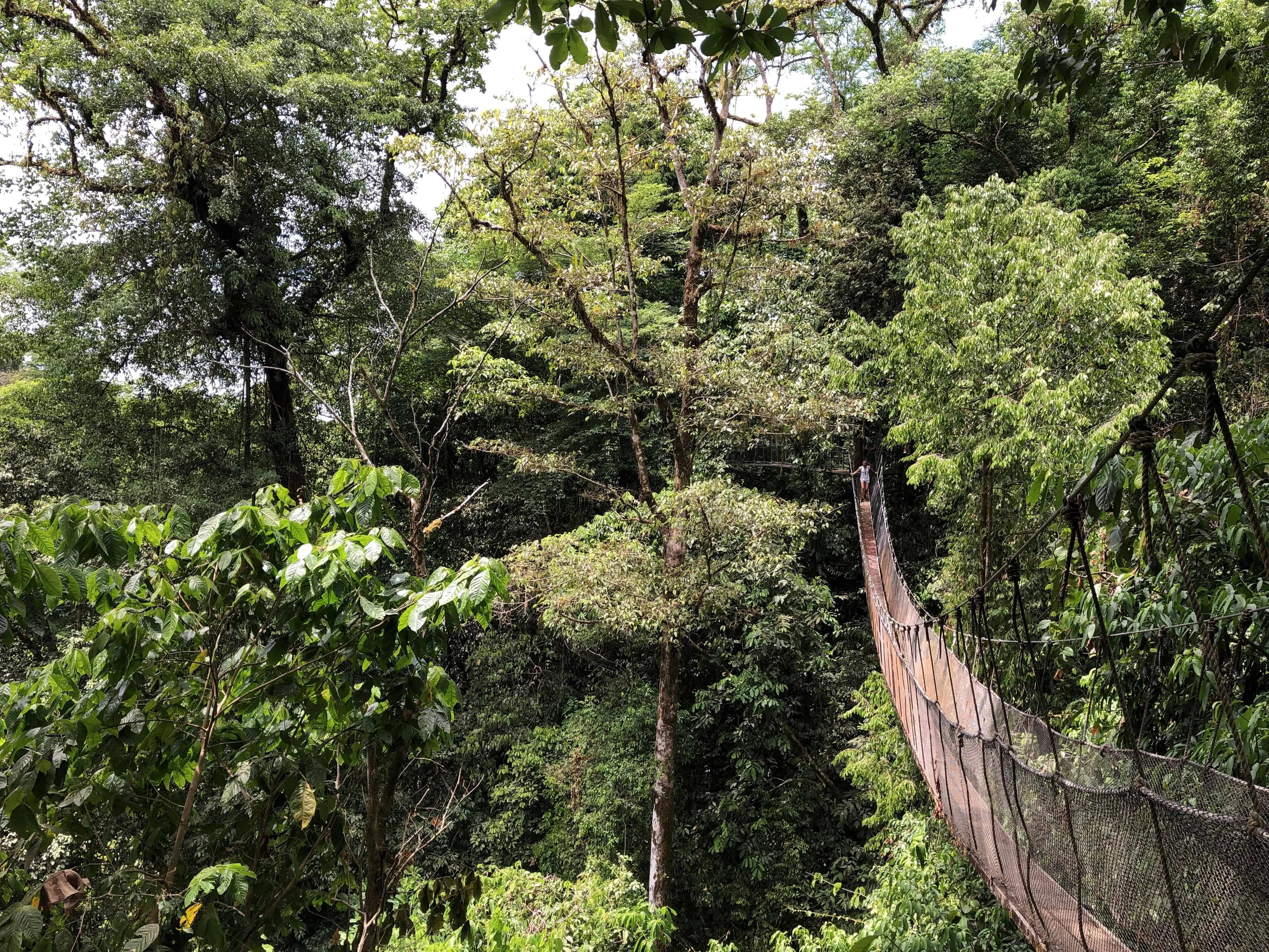 Rainmaker Park, Costa Rica