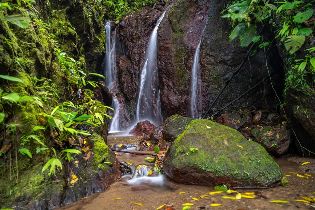 Rainmaker Park, Costa Rica