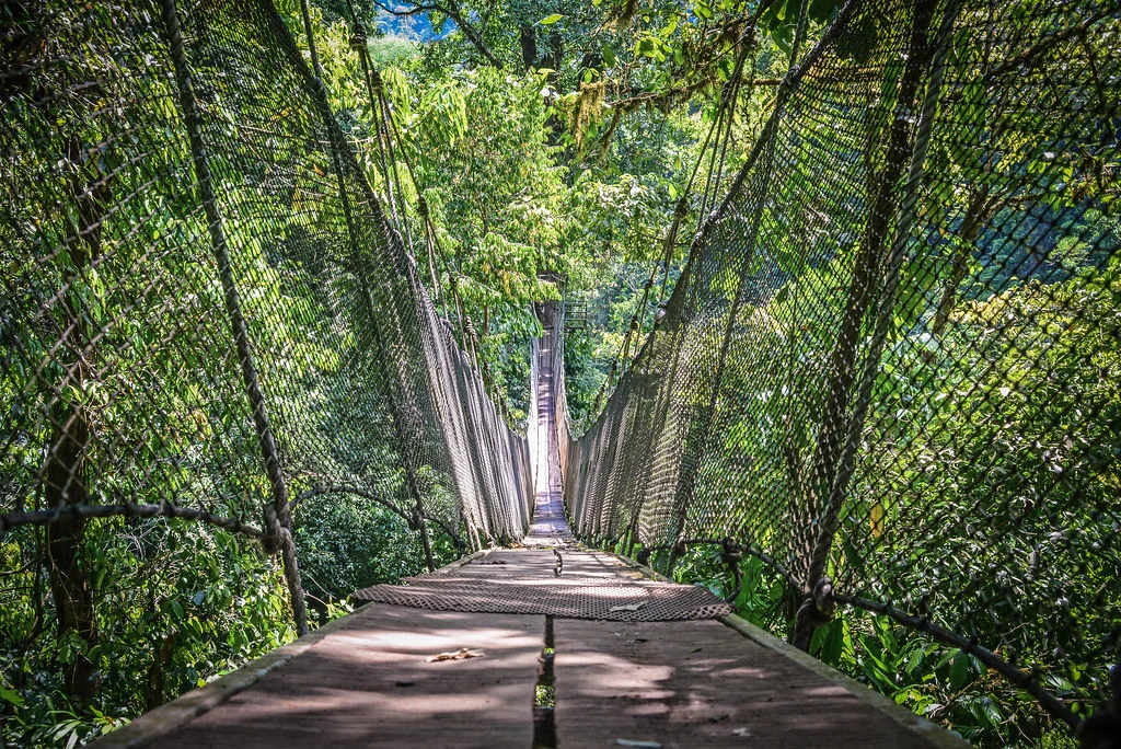 Rainmaker Park, Costa Rica