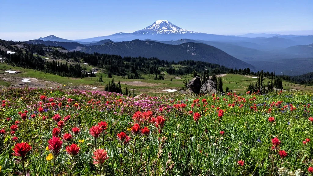 Mount Adams Wilderness, États-Unis
