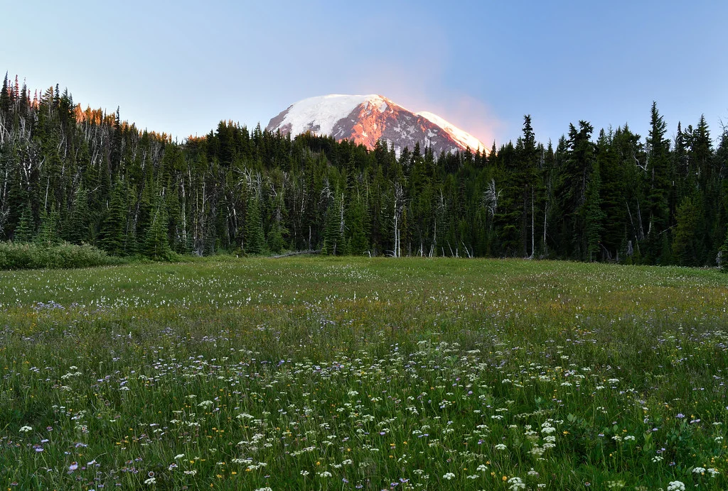 Mount Adams Wilderness, États-Unis