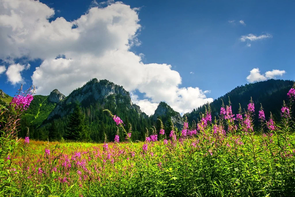 Tatras, Slovaquie, Pologne, Slovaquie