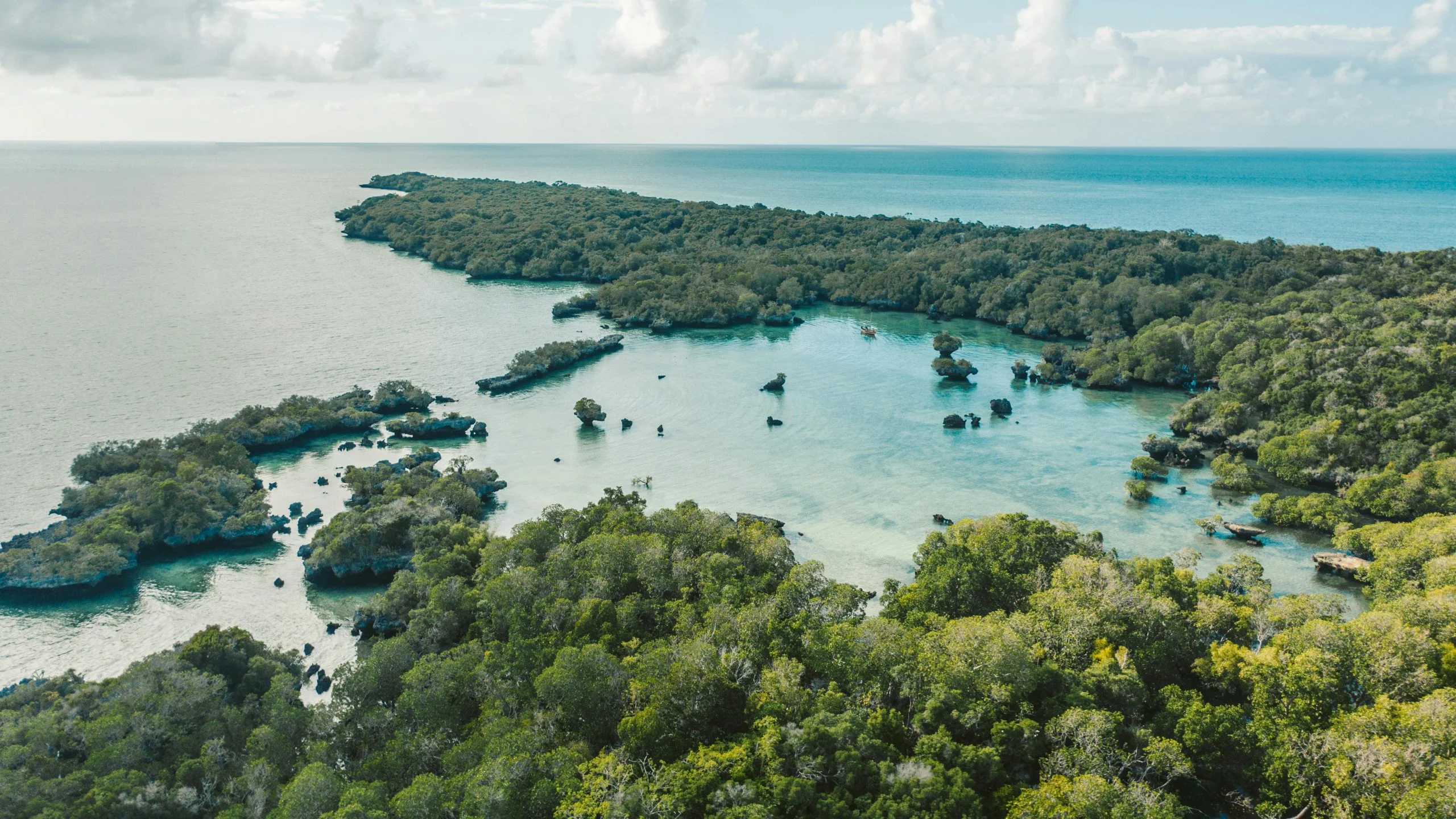 Parc national de Rubondo Island, Tanzanie