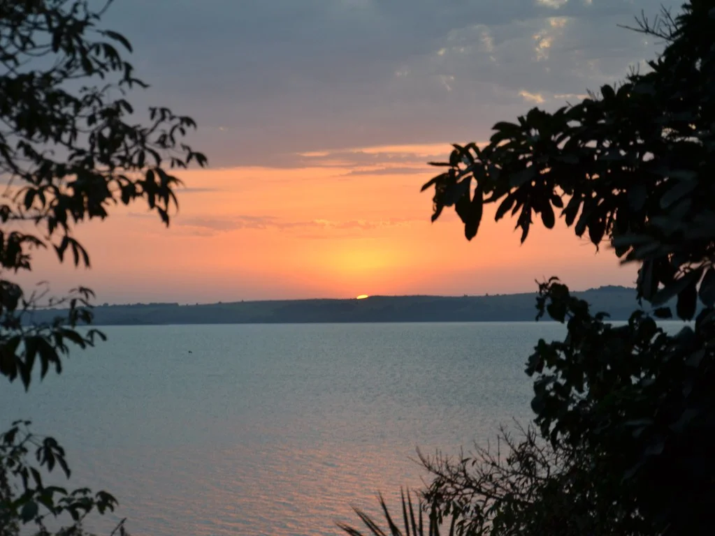 Parc national de Rubondo Island, Tanzanie