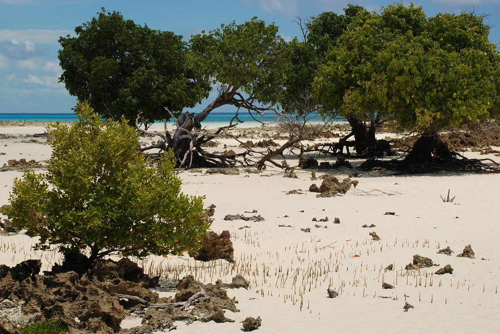Île Vamizi, Mozambique