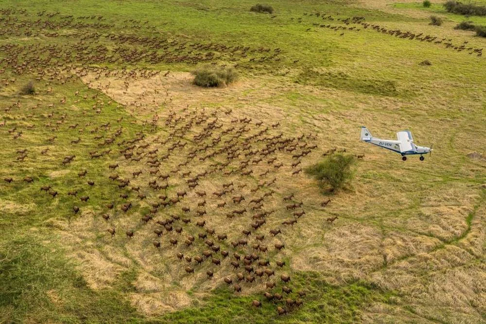 Parc national de Boma, Soudan du Sud