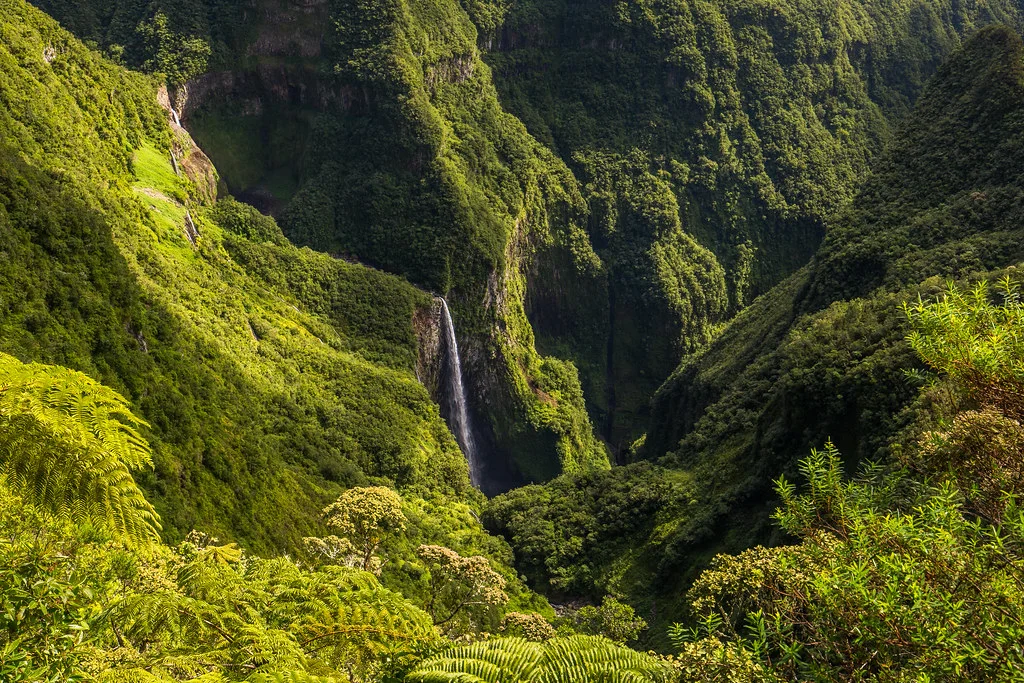 Trou de Fer, La Réunion