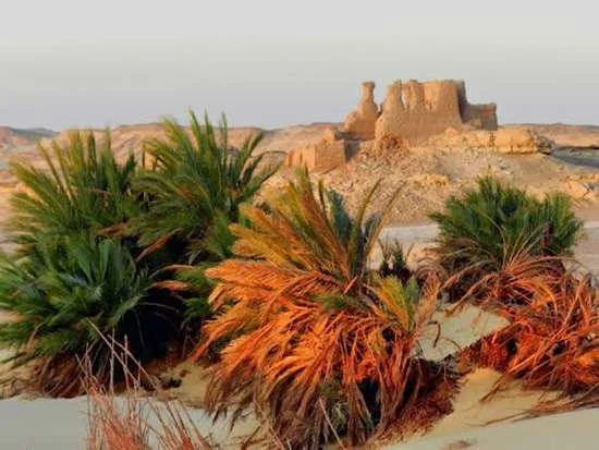 Qasr El Labeka, Égypte