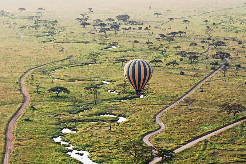 Parc national du Serengeti, Tanzanie