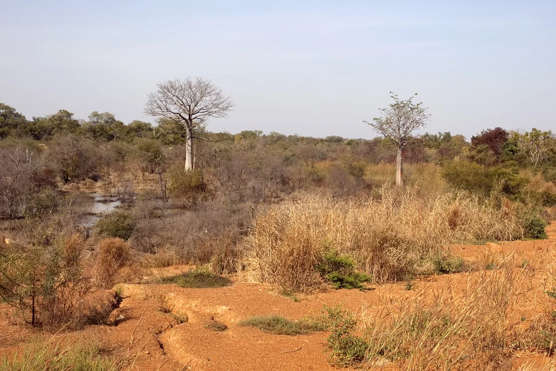 Parc national de la Kéran, Togo