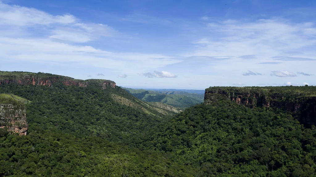 Chapada dos Guimaraes, Brésil