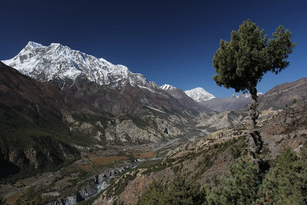 Pic Tilicho, Népal