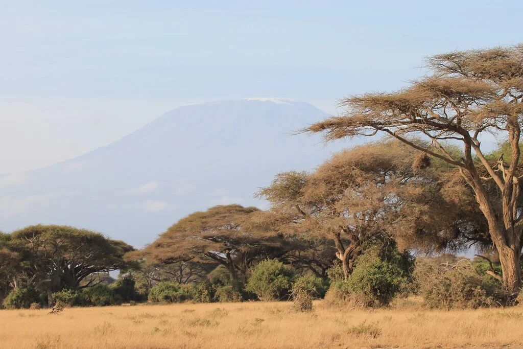 Parc national du mont Kenya, Kenya, Kenya