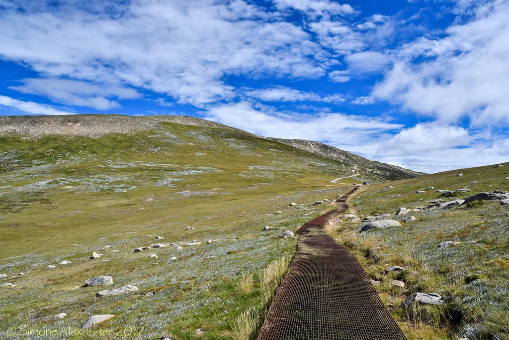 Kosciuszko Walk, Australie