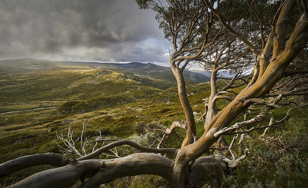 Kosciuszko Walk, Australie