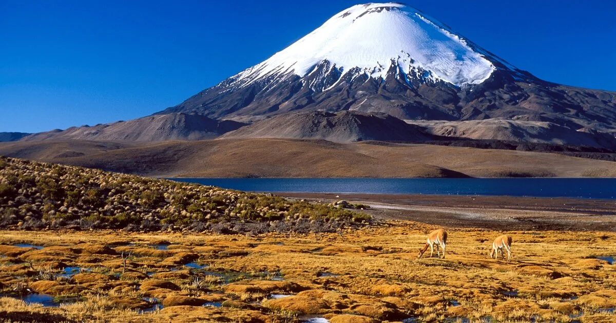 Llullaillaco, Argentine, Chili